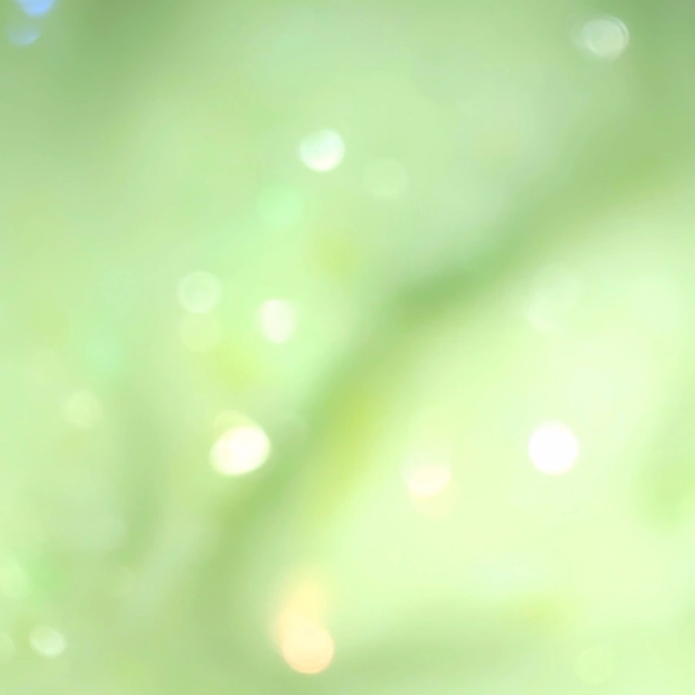 GLOSSY GREEN